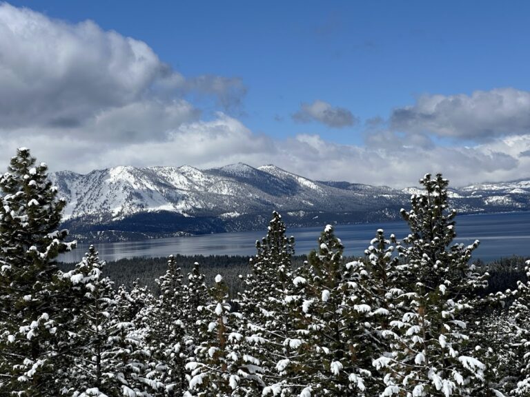 google-place-4385-1752226054