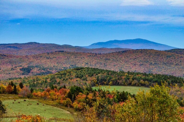 google-place-4397-1752223728