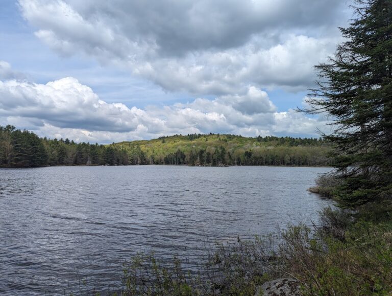 google-place-4408-1752224325