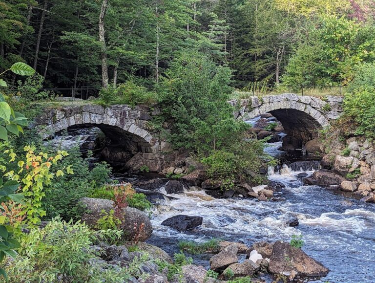 google-place-4409-1757051759